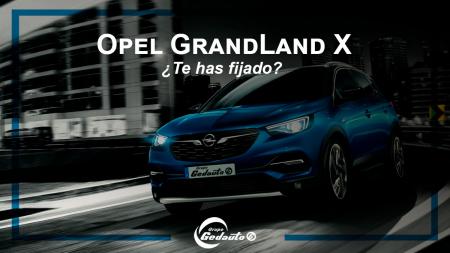 Opel GrandLand X, seguro que ya te has fijado.